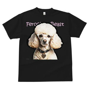 TVc Y LbY t@  t  vg JWA 킢 lԗp tBbglX _X Kl v[h n[g̃lbNX