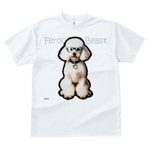 TVc fB[X t@  t  vg JWA 킢 lԗp tBbglX _X Kl v[h n[g`̎