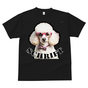 TVc fB[X t@  t  vg JWA 킢 lԗp tBbglX _X Kl v[h lN^C