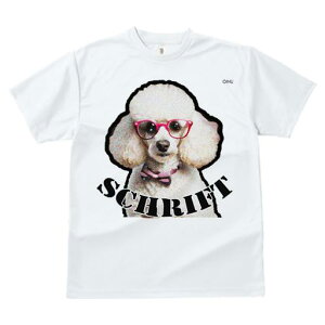 TVc fB[X t@  t  vg JWA 킢 lԗp tBbglX _X Kl v[h lN^C