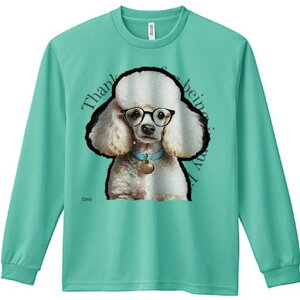 TVc lԗp Y Ht vg W[ AEghA JWA 킢 t@ Kl v[h  