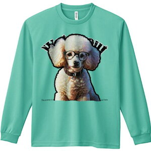 TVc lԗp Y Ht vg W[ AEghA JWA 킢 t@ Kl v[h  bZ[W