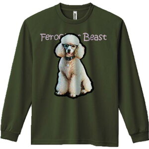 TVc lԗp Y Ht vg W[ AEghA JWA 킢 t@ Kl v[h 