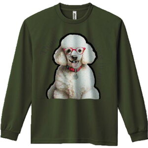 TVc lԗp Y Ht vg W[ AEghA JWA 킢 t@ Kl v[h 