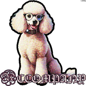 Kl v[h  uh NbVJo[ 45×45cm Aj}   NbV{̕t ` t@