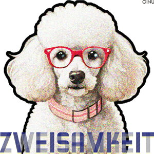 Kl v[h  NbVJo[ 45×45cm Aj}   NbV{̕t ` t@