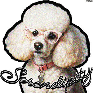 ዾ v[h sN̎ n[g̃y_g ZfBseB NVbN NbVJo[ 45×45cm Aj}   NbV{̕t ` t@