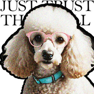 Kl v[h  NbVJo[ 45×45cm Aj}   NbV{̕t ` t@