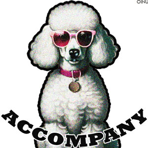 サングラス プードル ピンクの首輪 クッションカバー 45×45cm アニマル柄 おしゃれ 可愛い クッション本体付き 正方形 犬ファン