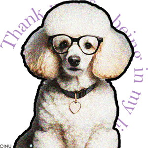 Kl v[h J[ n[g̃y_g NbVJo[ 45×45cm Aj}   NbV{̕t ` t@