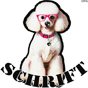 Kl v[h  n[gy_g NbVJo[ 45×45cm Aj}   NbV{̕t ` t@