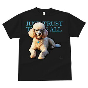 TVc fB[X t@  t  vg JWA 킢 lԗp tBbglX _X Kl v[h Ԃ ^O