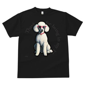 TVc fB[X t@  t  vg JWA 킢 lԗp tBbglX _X TOX v[h Kl  wi̕