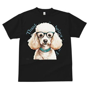 TVc fB[X t@  t  vg JWA 킢 lԗp tBbglX _X Kl v[h 