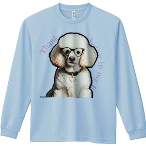 TVc lԗp Y Ht vg W[ AEghA JWA 킢 t@ Kl v[h J[ n[g̃y_g