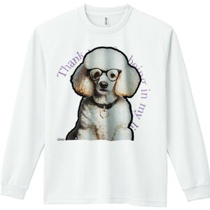 TVc lԗp Y Ht vg W[ AEghA JWA 킢 t@ Kl v[h J[ n[g̃y_g