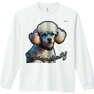 TVc lԗp Y Ht vg W[ AEghA JWA 킢 t@ Kl v[h