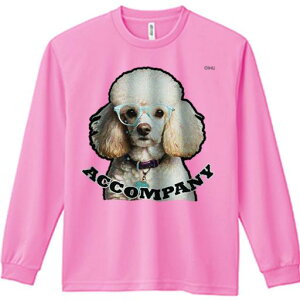 TVc lԗp Y Ht vg W[ AEghA JWA 킢 t@ Kl v[h  ANZT[