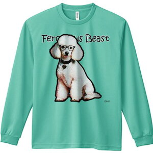 TVc lԗp Y Ht vg W[ AEghA JWA 킢 t@ Kl v[h 