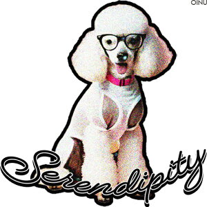 Kl v[h Z[^[ NbVJo[ 45×45cm Aj}   NbV{̕t ` t@