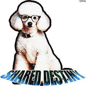 ዾ v[h NbVJo[ 45×45cm Aj}   NbV{̕t ` t@