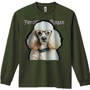 TVc lԗp Y Ht vg W[ AEghA JWA 킢 t@ Kl v[h 