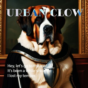 G Zgo[i[h V[h  t[ NbVJo[ 45×45cm Aj}   NbV{̕t ` t@