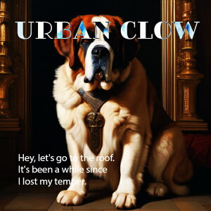 F̃t[ Zgo[i[h  [u A[og Mȕ͋C NbVJo[ 45×45cm Aj}   NbV{̕t ` t@