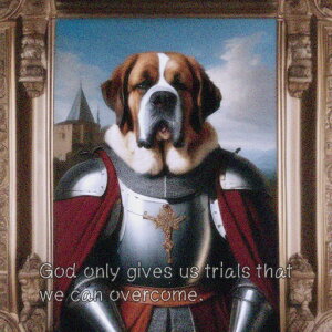 Z Zgo[i[h \ z  NbVJo[ 45×45cm Aj}   NbV{̕t ` t@