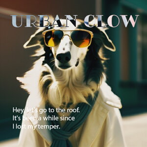 TOX ̑ R[g XJ[t eLXg NbVJo[ 45×45cm Aj}   NbV{̕t ` t@