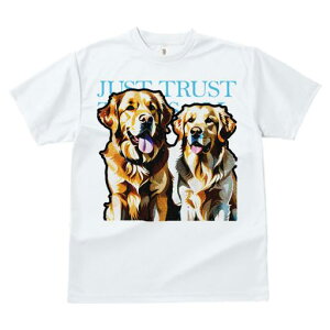 T�V���c ���f�B�[�X ���t�@�� ���� �t�� ���� �v�����g �J�W���A�� ���킢�� �l�ԗp �t�B�b�g�l�X �_���X JUST �S�[���f�����g���o�[ TRUST