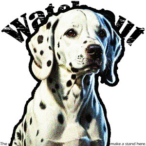 v _VA O NbVJo[ 45×45cm Aj}   NbV{̕t ` t@