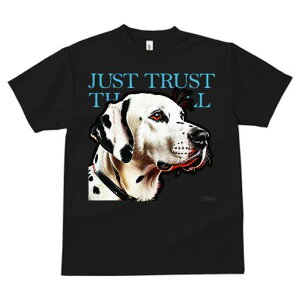 T�V���c ���f�B�[�X ���t�@�� ���� �t�� ���� �v�����g �J�W���A�� ���킢�� �l�ԗp �t�B�b�g�l�X �_���X JUST �_�����V�A�� TRUST THE ���