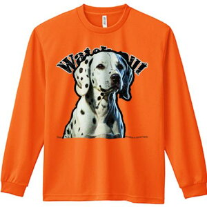 TVc lԗp Y Ht vg W[ AEghA JWA 킢 t@ v _VA O