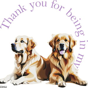 ���� �S�[���f�����g���o�[ �D���� �F�� �� ���� �N�b�V�����J�o�[ 45×45cm �A�j�}���� ������� ���� �N�b�V�����{�̕t�� �����` ���t�@��