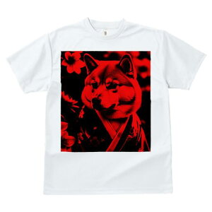 TVc fB[X t@  t  vg JWA 킢 lԗp tBbglX _X  Č 