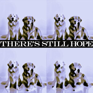 ] s |X^[ A[g NbVJo[ 45×45cm Aj}   NbV{̕t ` t@