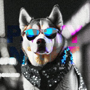 TOX VxAnXL[ XJ[t  p[eB NbVJo[ 45×45cm Aj}   NbV{̕t ` t@