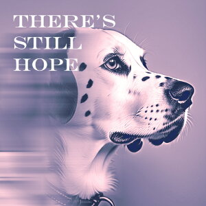 ] _VA |X^[ A[g hbOA[g NbVJo[ 45×45cm Aj}   NbV{̕t ` t@