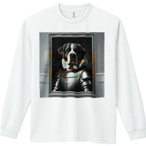 TVc lԗp Y Ht vg W[ AEghA JWA 킢 t@ Rm Zgo[i[h G 