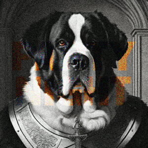 ё Zgo[i[h ̕  M  NbVJo[ 45×45cm Aj}   NbV{̕t ` t@