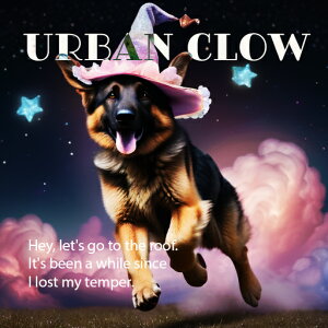 @̖Xq W[}VFp[hhbO  _  NbVJo[ 45×45cm Aj}   NbV{̕t ` t@