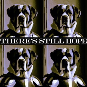 ] uhbO EC |X^[A[g NbVJo[ 45×45cm Aj}   NbV{̕t ` t@