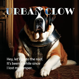 �h�� �Z���g�o�[�i�[�h �N���V�b�N�Ƌ� �Ԃ��J�[�e�� �N�b�V�����J�o�[ 45×45cm �A�j�}���� ������� ���� �N�b�V�����{�̕t�� �����` ���t�@��