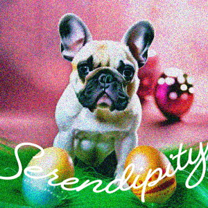  t`uhbO {[ NbVJo[ 45×45cm Aj}   NbV{̕t ` t@