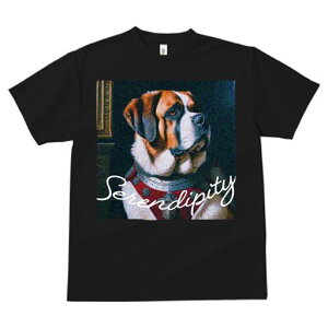 TVc fB[X t@  t  vg JWA 킢 lԗp tBbglX _X Ԃ Zgo[i[h ZfBseB G敗