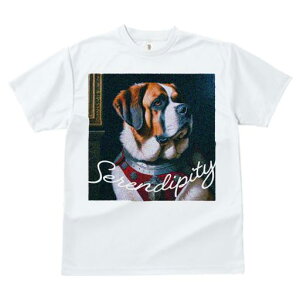 TVc fB[X t@  t  vg JWA 킢 lԗp tBbglX _X Ԃ Zgo[i[h ZfBseB G敗