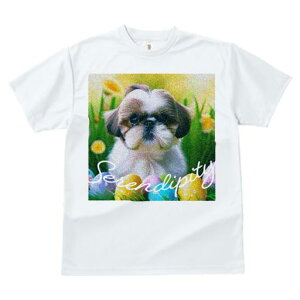 TVc fB[X t@  t  vg JWA 킢 lԗp tBbglX _X  V[Y[ Jtȗ ΂̔wi ^C|OtB