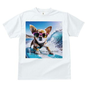 TVc fB[X t@  t  vg JWA 킢 lԗp tBbglX _X T[t{[h ` TOX C