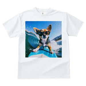 TVc fB[X t@  t  vg JWA 킢 lԗp tBbglX _X T[t{[h ` TOX C g